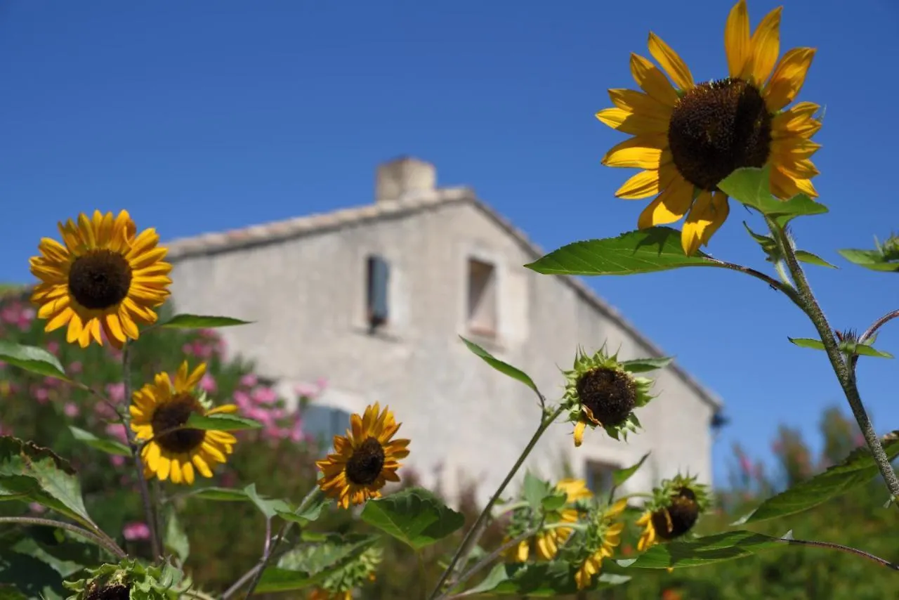 Holiday home Gite Les Lavandes Vaison-la-Romaine France