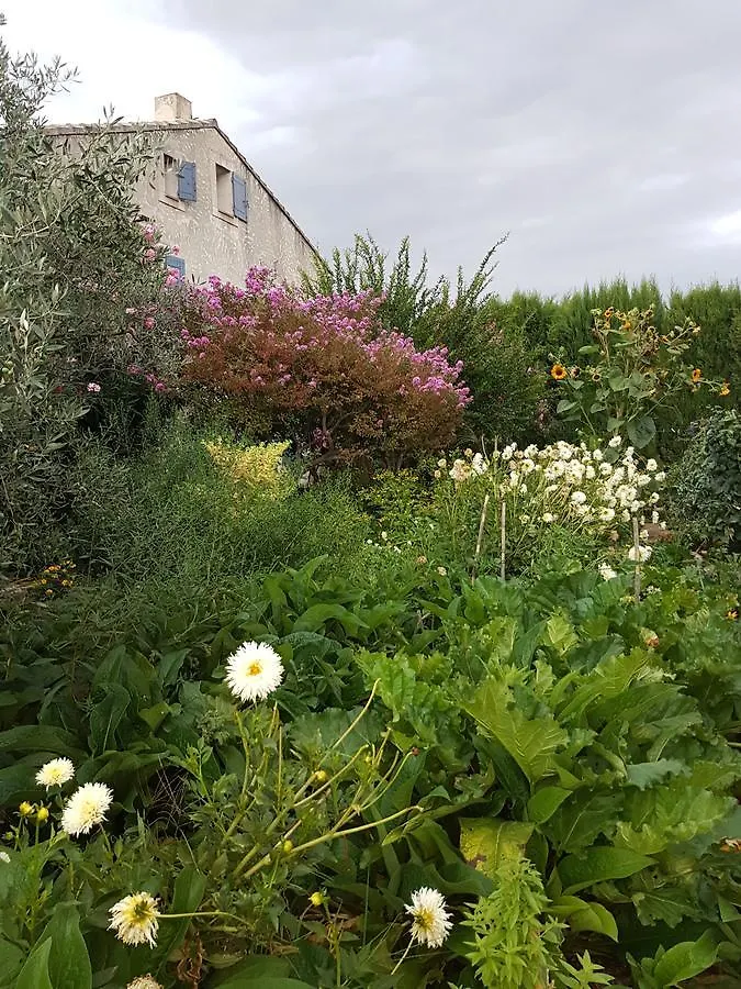 Holiday home Gite Les Lavandes Vaison-la-Romaine