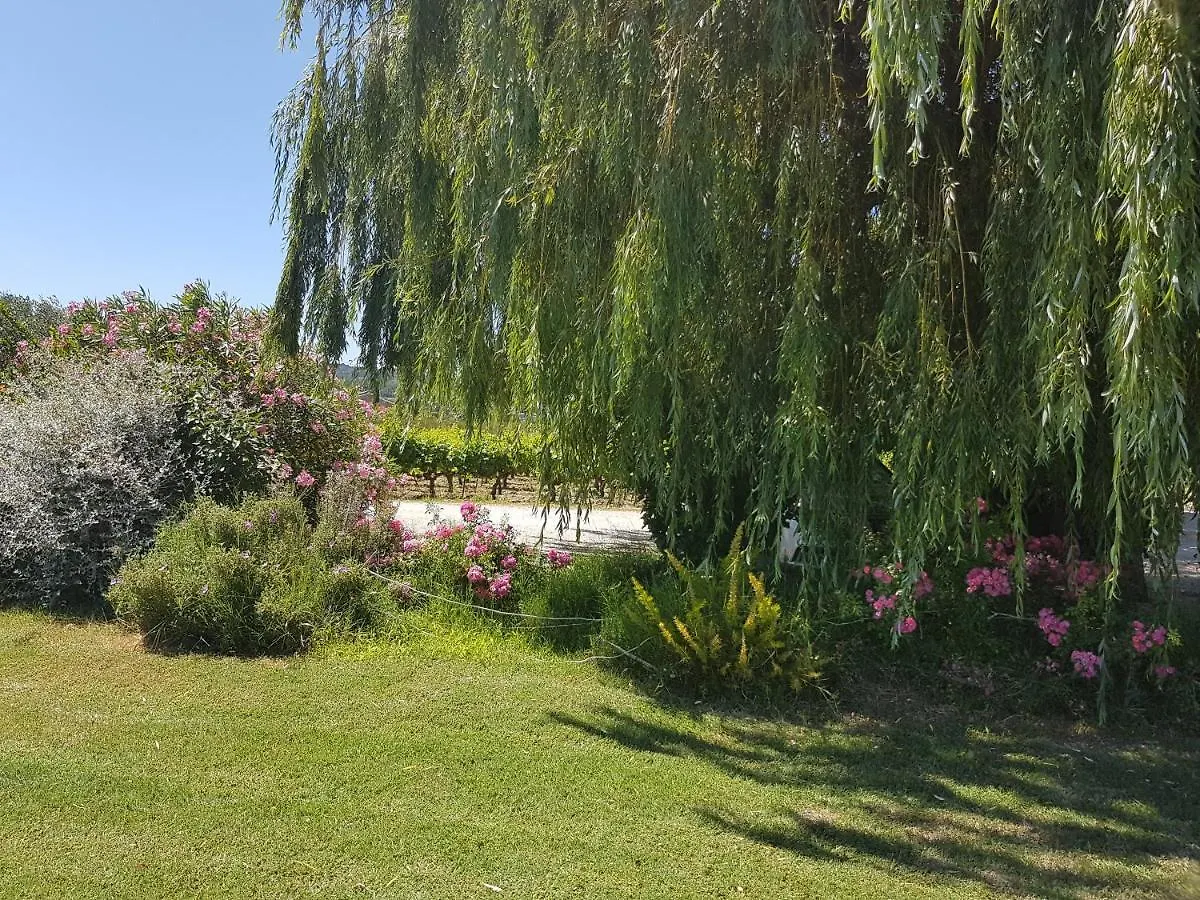 Gite Les Lavandes Vaison-la-Romaine